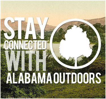 connect with alabama outdoors