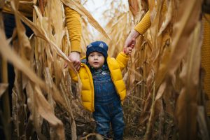 child walking though the corn field