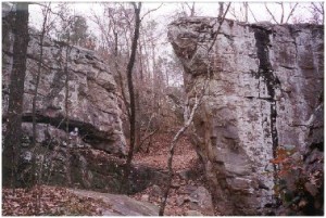 Boulders at Moss Rock Preserve